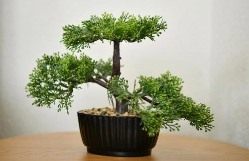 Apartman Noa - Foto 1