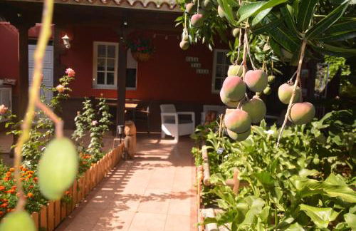 Holiday House Tia Lila - Foto 19