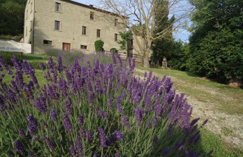 Agriturismo I Monti di Salecchio - Foto 11