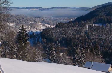 Schwarzwald-Chalet Feldberg - Foto 23