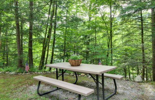 Cozy Ski Retreat! 3 Mi to Okemo Mtn Slopes - Foto 25