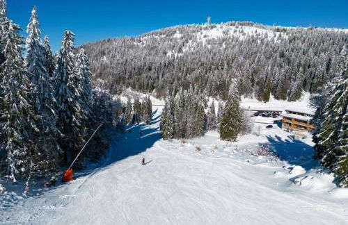 Haus Wiesenquelle - Fewo 10 "Uff'm Berg", Feldberg - Foto 18