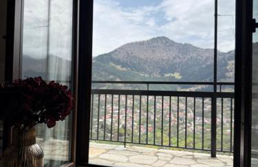 Avra Metsovou - Photo 7