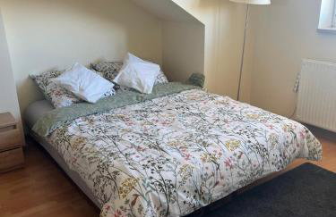 Noclegi Opole-Chmielowice Apartament C - Foto 19