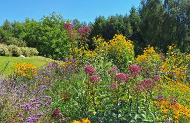 Zielono Mi - Dom Gościnny w Łapalicach - Foto 19