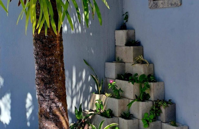 Rua Professor Nelson Rabello - Foto 28