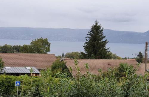 Studio cosy proche Evian - Foto 9