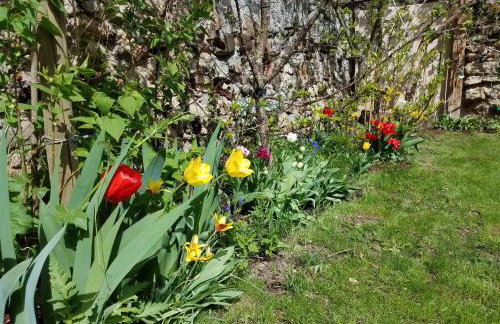 Chez Maria - Photo 24