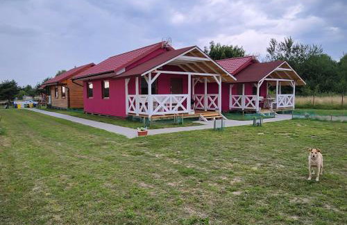 Domki Letniskowe U Żuni - Foto 26