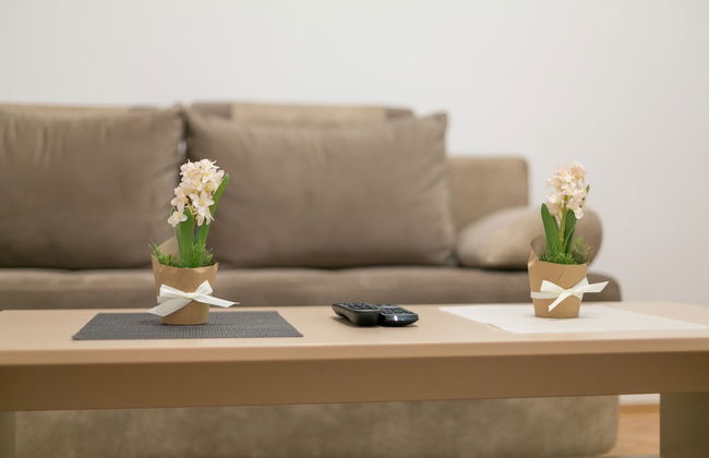 Apartment Dositejeva - Foto 11