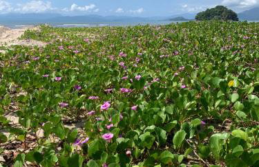 Flat Boa Vista Beach - Foto 28