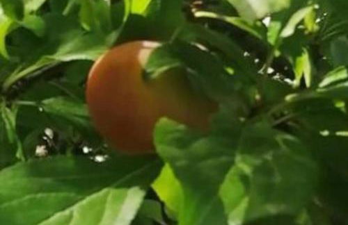 Sogno Mediterraneo Pula Sardegna villa a soli 300 mt dal mare - Foto 30