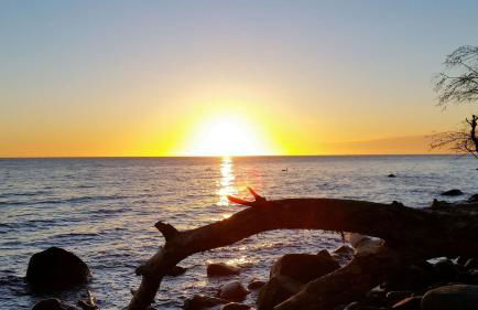 Ferienbauernhof Liesenberg Meerblickhaus Strandmuschel - Foto 70