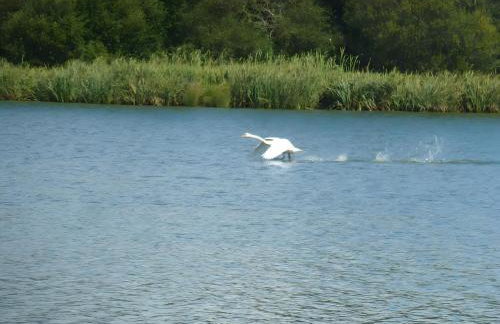 Au clos du pont, appartement relax - Foto 23