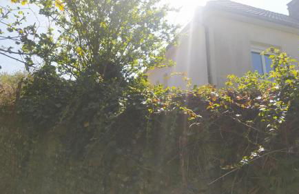 La Ruée vers l'Aure - Foto 42