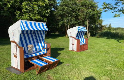 Zingst Haus Hugo - Foto 11