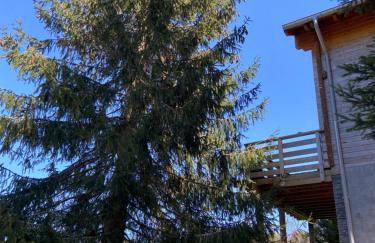 Chalet bois au calme, en lisière de forêt, balcons, sentiers balades Gérardmer & Alsace "Chalet Mon beau sapin" - Foto 23