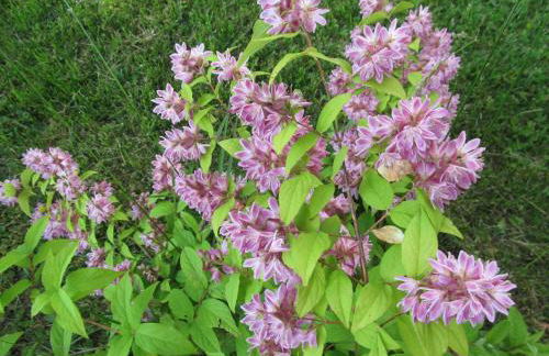 Loftwohnung 3 Bergeblick - Foto 53