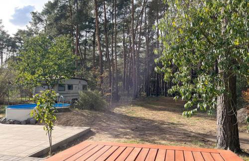 Modernes Waldhaus im Spreewald - Foto 11