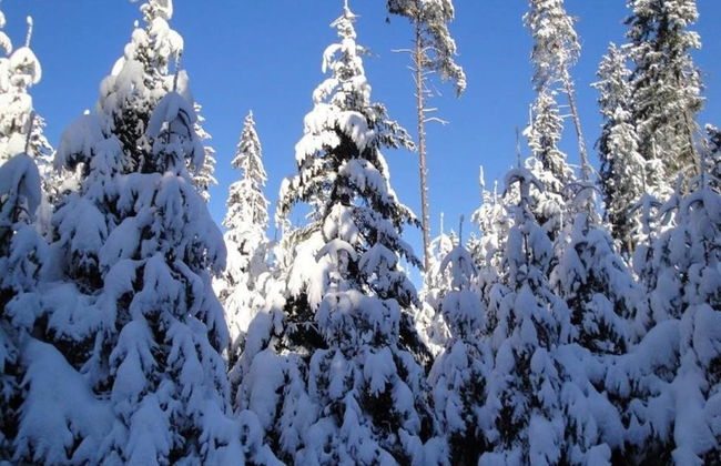 Apartment in Neuhaus Near Petzen Ski Area - Foto 30