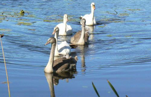 Ferienhof Hiemer - Foto 26