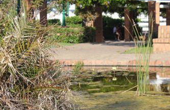 Mare Nostrum Beach El Palo Vistas al Mar Terraza ,Aparcamiento - Photo 61