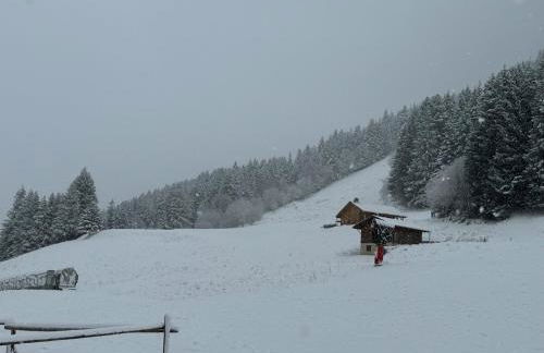 2-bed appt 20 mins from Morzine Portes du Soleil French Alps - Foto 40