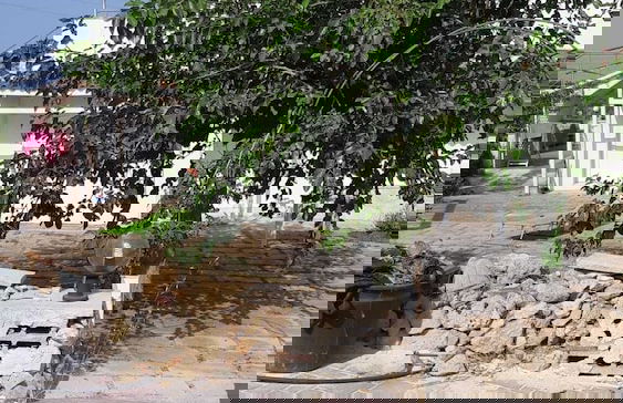 Agriturismo Vivinatura - Foto 78