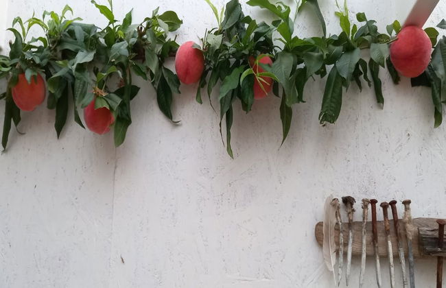 "Hartvig" - 800m from the sea - Foto 10