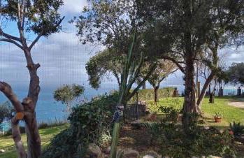 Bouganville in Villa Greco - Foto 73