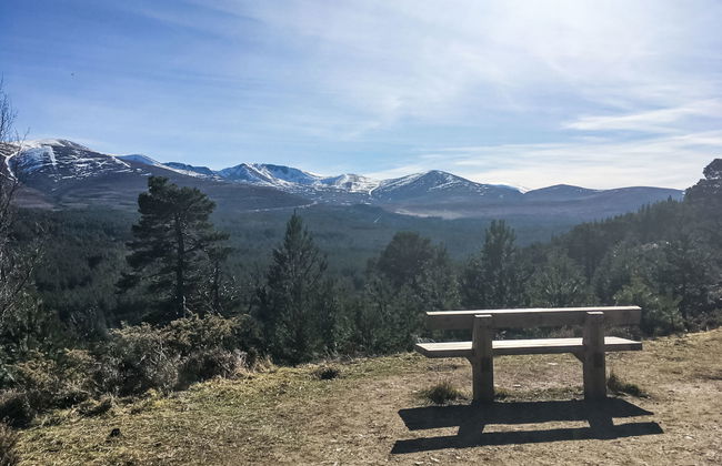 Osprey House - Photo 40