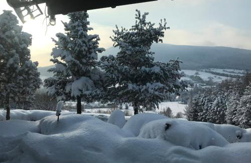 Zielony Dom - Foto 30