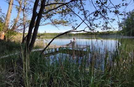 Domek Na Łące - Foto 26