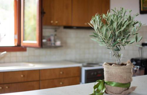 Overlooking Cheromilos - Foto 12