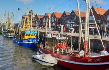 Ferienwohnung Baltrum auf dem Elisenhof Hagermarsch - Foto 25
