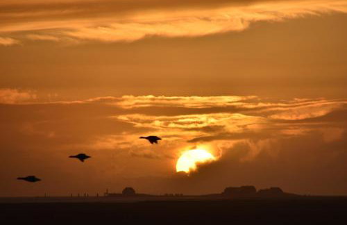 Fewo Nordseeblick - Foto 13