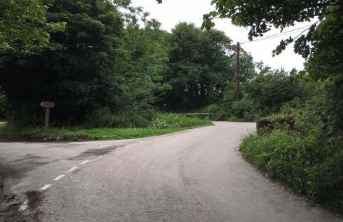 Higher Trewithen - Photo 58