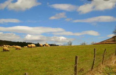 Caserio Arrigorri excelente ubicación jardín con BBQ perfecto para grupos - Foto 68