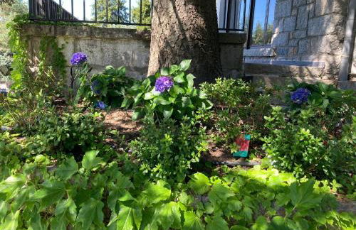 Los Cedros, gran chalet con piscina y apartamento en Navacerrada - Foto 39