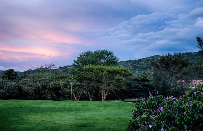 Near2Numbi - Foto 56