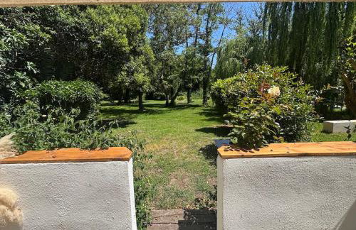 Gîtes Terra di a Bravona - Foto 49