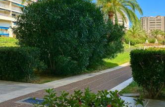 Studio cosy avec piscine - Cannes Marina - Foto 8