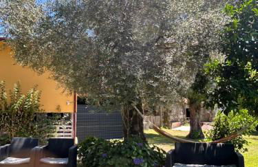 Casa Matreiro - Foto 5