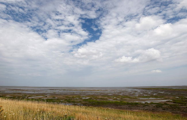 6 Person Holiday Home in Skaerbaek-by Traum - Foto 7