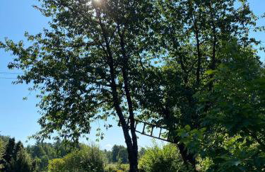 Biały Domek nad Wkrą - Foto 72