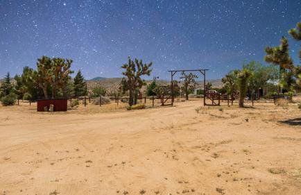 The Whispering Wind Tree - Foto 12