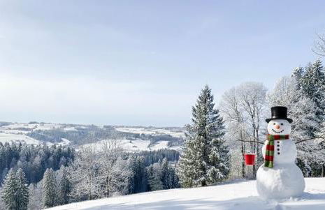 Lindners Hideaways - Bergnest Lodge - Bergblick Fewo 6 Pers Balkon Garten Hund Ski Unterkunft Luftkurort Oberreute nähe Buchenegger Wasserfälle Eistobel Bodensee - Foto 13