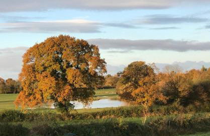 Archers Cottage - Foto 33