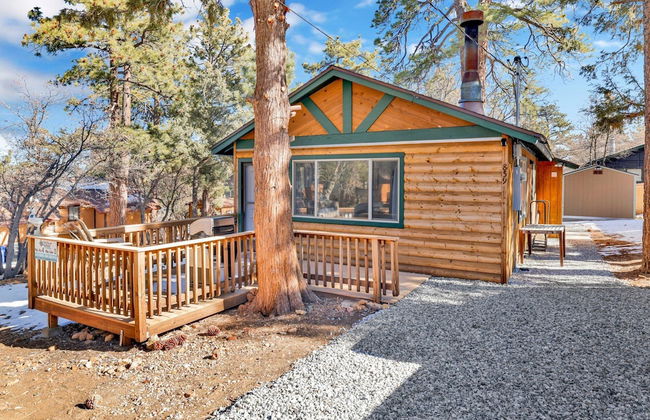 Sugar Bear Crossing #2496 - Foto 14