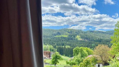 Gemütliche Ferienwohnung in Bodenmais I Sauna I Balkon I Blick Silberberg - Foto 3